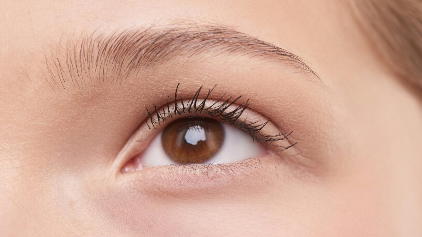 Qu’est ce que l’électrolyse pour l’épilation définitive des sourcils